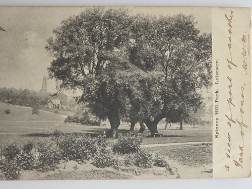 Postcard leicester spinney - postcard,