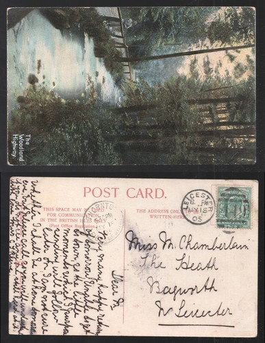 1905 kevii thornton - thornton, &