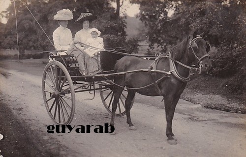 Horse and cart - , bradgate
