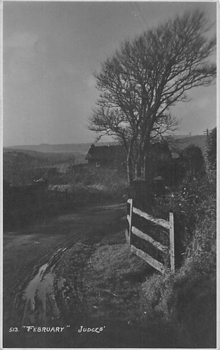 Family history postcard - history,